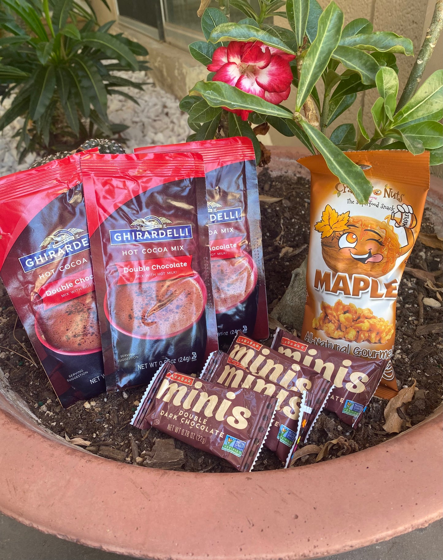 Recharge - Brain Food Munchies (Campus Delivery)